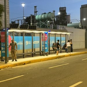 grupo fesa (24)