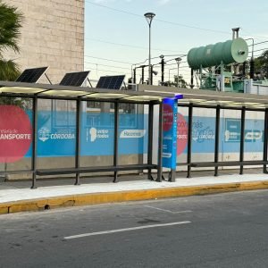 grupo fesa (25)
